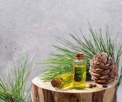 petites bouteilles en verre d'huile essentielle de cèdre sur une souche ronde en bois avec branches de cèdre, cône, noix sur fond gris. photo