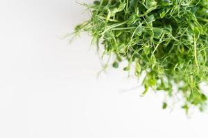 pousses de pois de légumes, microverts sur fond blanc, superaliments de santé végétaliens. vue de dessus, gros plan, place pour une inscription. photo