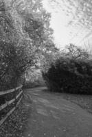 vue aérienne du paysage britannique en noir et blanc classique photo