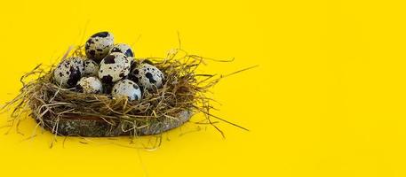 carte de voeux de pâques de printemps avec des oeufs de caille dans un nid sur fond jaune. la nourriture saine. photo