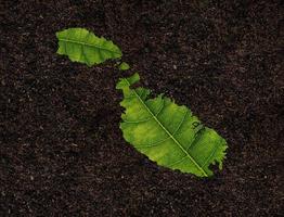 carte malte faite de feuilles vertes sur le concept d'écologie de fond de sol photo