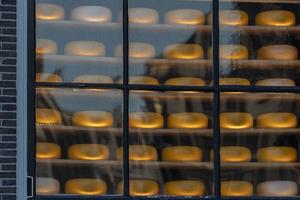 Vitrine de la fromagerie d'Amsterdam photo