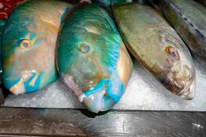 poisson perroquet au marché aux poissons photo