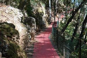 tapis rouge à Portofino photo