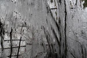 glaçons glace gelée sur les branches d'arbres photo