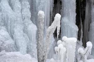 glaçons glace gelée sur les branches d'arbres photo