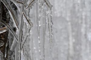 glaçons glace gelée sur les branches d'arbres photo