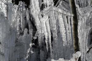 glaçons glace gelée sur les branches d'arbres photo