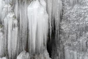 glaçons glace gelée sur les branches d'arbres photo