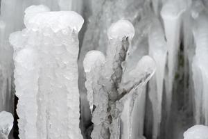 glaçons glace gelée sur les branches d'arbres photo