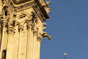 détail de la cathédrale notre dame de paris photo