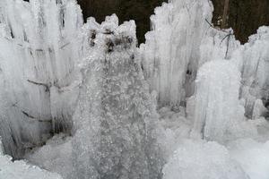 glaçons glace gelée sur les branches d'arbres photo