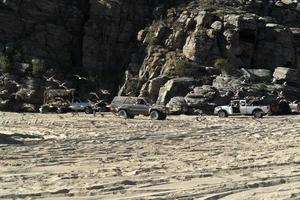 pélican mouette de nombreux oiseaux à baja california beach mexique photo
