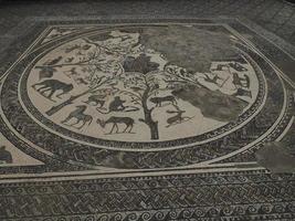 mosaïque dans les ruines romaines de volubilis au maroc - ruines romaines les mieux conservées situées entre les villes impériales de fès et de meknes photo