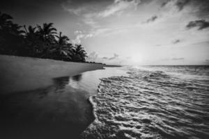 paysage de plage tranquille en noir et blanc. l'île paradisiaque monochrome dramatique inspire le fond de voyage de méditation. palmiers sable blanc ciel sombre vagues artistiques se détendre côte. voyage minimal d'été photo