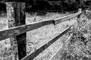 photo en niveaux de gris d'un paysage avec une clôture en bois