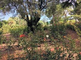 une vue sur le parc de monaco photo