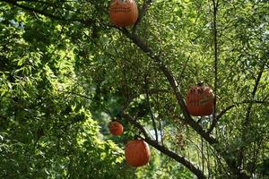 citrouille d'halloween sculptée suspendue à un arbre photo