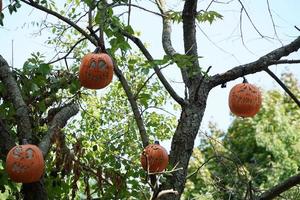 citrouille d'halloween sculptée suspendue à un arbre photo