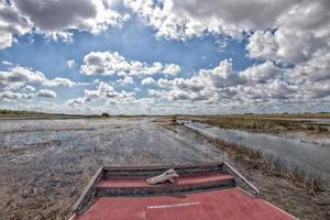 vue sur les everglades de floride paysage panoramique depuis un hydroglisseur photo