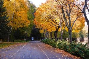 belle allée romantique dans un parc aux arbres colorés et à la lumière du soleil. fond naturel d'automne photo