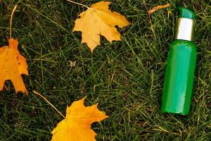 premières feuilles jaunes et un pot de crème photo