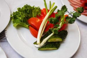 poivrons rouges et verts hachés sur une assiette blanche avec un oignon rouge haché isolé sur un blanc photo