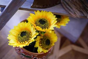 tournesols dans un pot bleu tournesols trouvés dans un pot photo