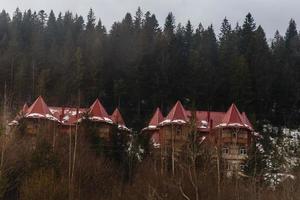 vieilles maisons aux arbres verts, manoir avec un beau toit dans les montagnes photo