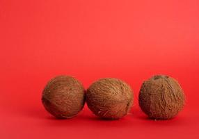 noix de coco ronde entière mûre sur fond rouge photo