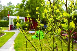 jardin vert avec maison de jardin rouge en allemagne de style norvégien. photo