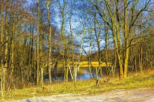 paysage naturel de l'eau de la rivière du lac par une journée ensoleillée en allemagne. photo