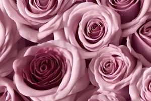 décoration romantique un bouquet de roses roses photo