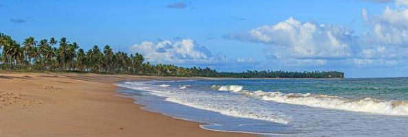 vue panoramique sur la plage sans fin et déserte de praia do forte dans la province brésilienne de bahia pendant la journée photo