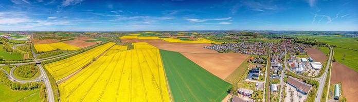 photo de drone aérien du champ de colza au printemps dans une couleur jaune vif typique