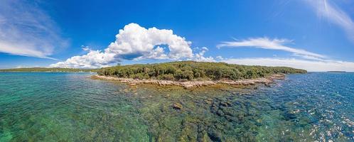 photo panoramique de drone du paysage typique de la côte croate prise près de rovinj