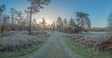 image d'un sentier à travers une forêt hivernale photo