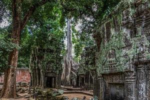 ruines mystiques et célèbres d'ancre wat au cambodge sans personne en été photo