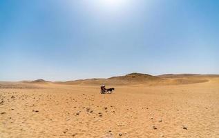 charrette à cheval dans le désert d'egypte photo