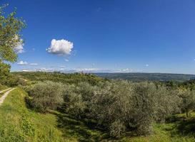 vue lointaine sur la célèbre ville médiévale de groznjan sur la péninsule d'istrie pendant la journée photo