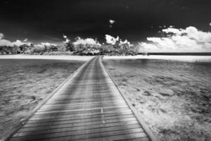 pont en bois noir et blanc dans l'île paradisiaque. paysage de côte tropicale, palmiers sable blanc lagon exotique baie de mer en monochrome dramatique. fond de voyage tranquille, style minimaliste aux tons sombres photo