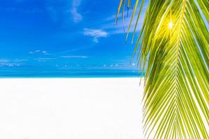 ciel de sable de mer et nature tropicale comme concept de fond de plage. paysage de plage tranquille, bannière de concept d'île paradisiaque. nature exotique, feuilles de palmier avec ciel bleu, ambiance d'été ensoleillée, utilisez la bannière de vacances photo