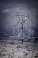 vue sur la montagne du paysage d'hiver photo