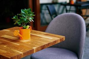 intérieur de café de rue avec plante sur table photo