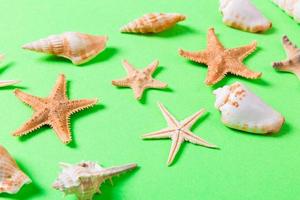 coquillages et étoiles de mer sur fond vert et sable. notion de temps de vacances photo