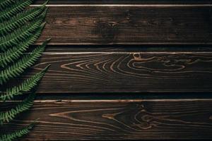 feuilles de fougère sur le fond du vieux bois photo