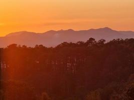 vue sur la montagne naturelle avec une couleur or orange. gradient belle conception d'arbre forestier lumière élégante. photo