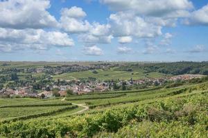 Jugenheim en Hesse rhénane, région viticole de Rhénanie-Palatinat, Allemagne photo