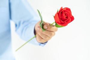 homme tenant une rose rouge à la main sur blanc photo