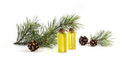 composition de petites bouteilles en verre avec de l'huile essentielle de pin, des branches vertes et des cônes sur blanc. bannière. photo